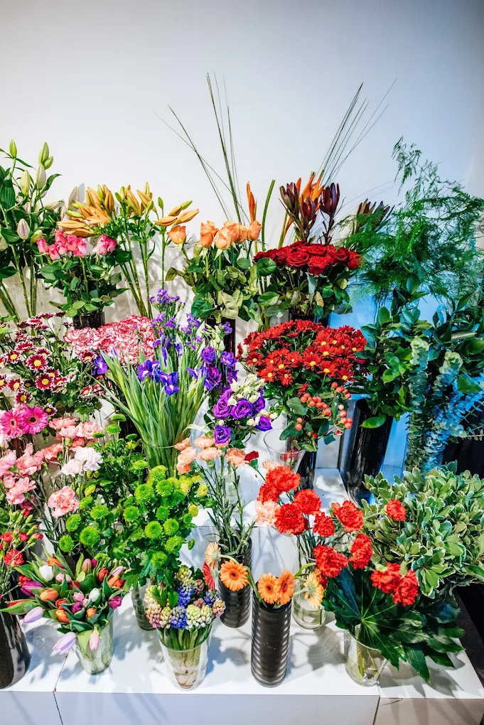 Blooms Flowers Dundalk shop front