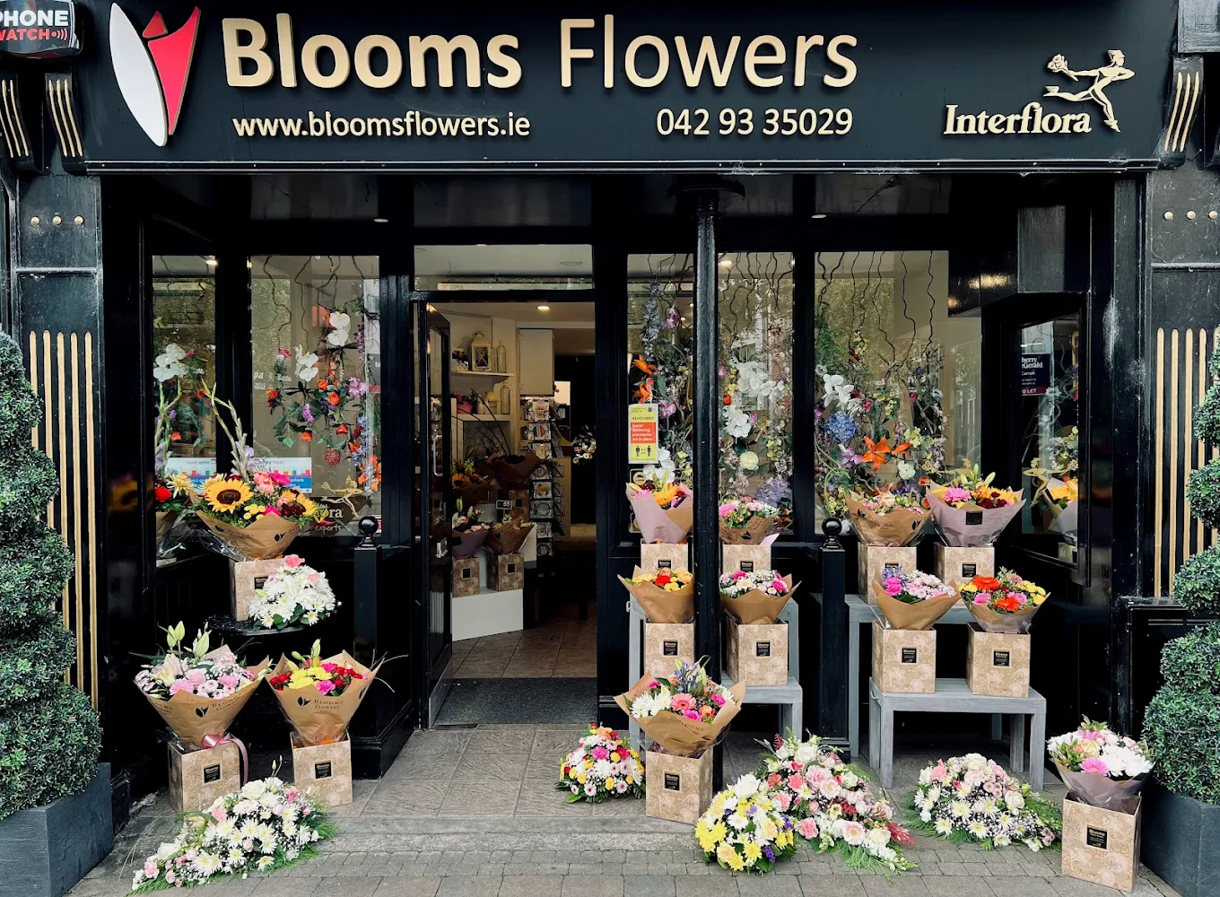 Blooms Flowers Dundalk