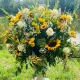 Lucie Biegala, Harpur Centre Florist