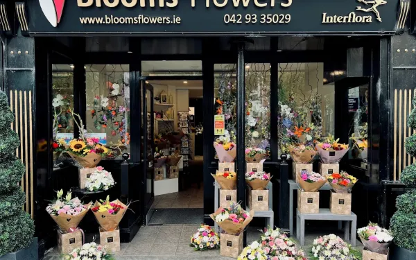 Blooms Flowers Dundalk shop front