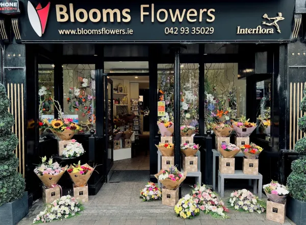 Blooms Flowers Dundalk